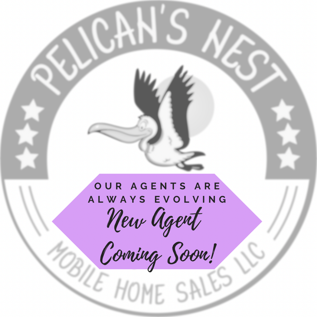 About • Pelican's Nest Mobile Home Sales • Your New Florida Nest Awaits!