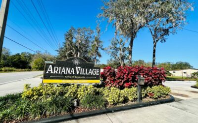 Ariana Village